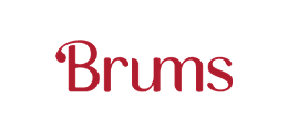 logo brums