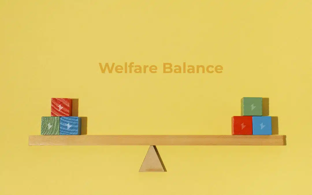 Il Welfare un importante equilibrista!